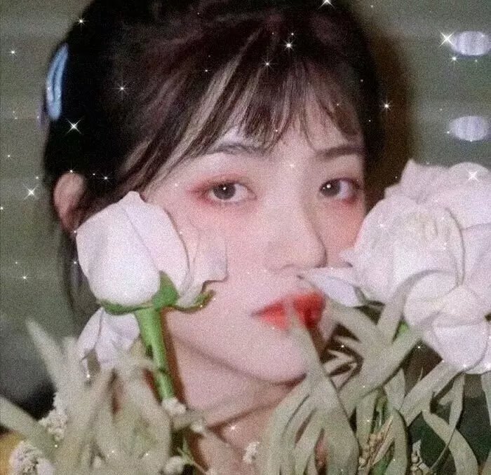 安妮·霍尔