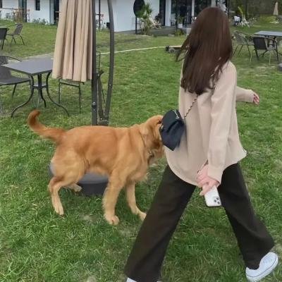 咖啡风暴